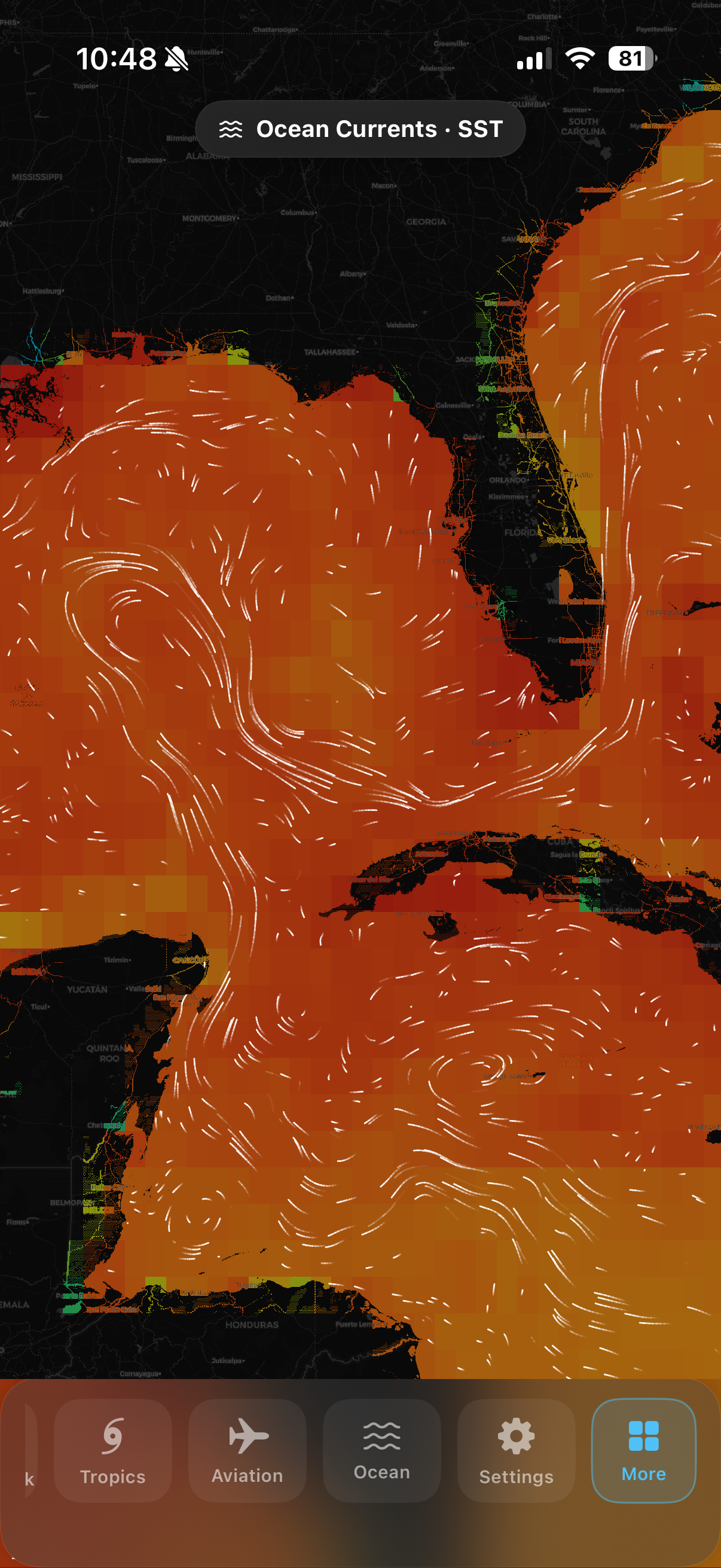 Animated ocean surface currents over warm sea surface temperature across the Gulf of Mexico